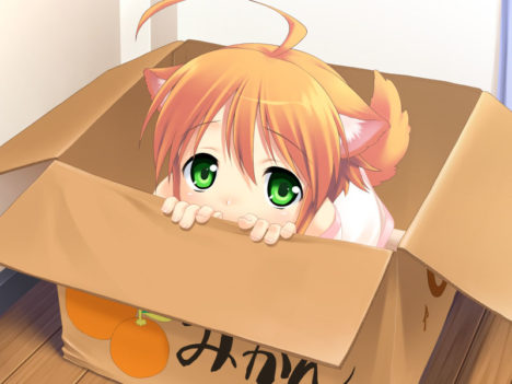 pet-girl-in-box-needs-home-lolicon-welcome
