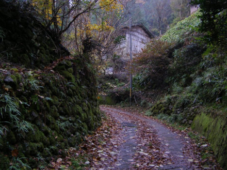 forest-village-abandoned-002