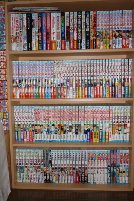 otaku-shelves
