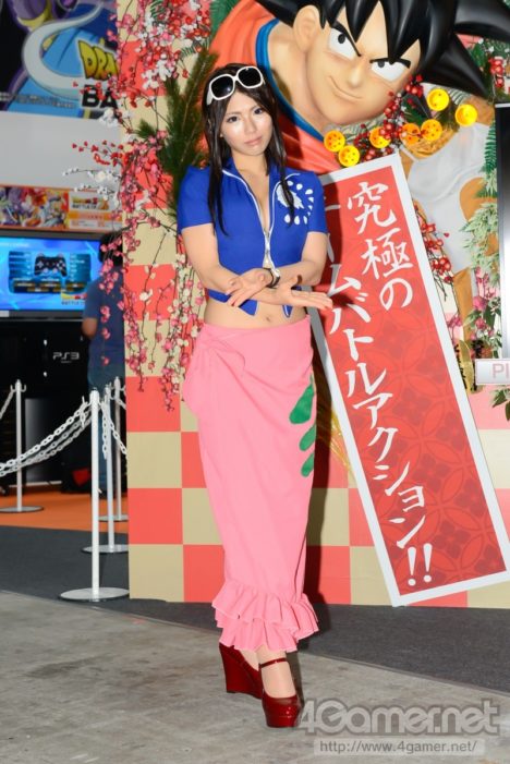 Tokyo Game Show 2013 Promotional Models 026