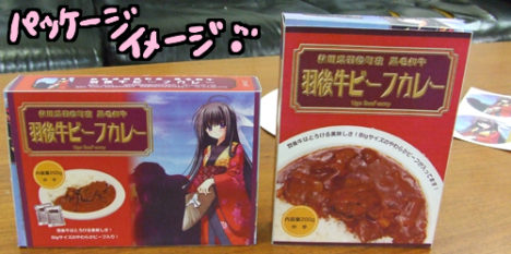 aoi-nishimata-ita-goods-curry