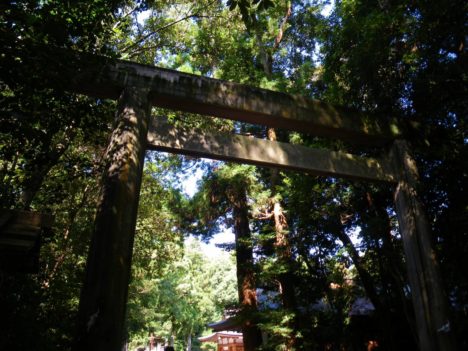 shinto-shrine-jinja-torii-006