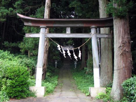 shinto-shrine-jinja-torii-049