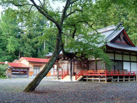 shinto-shrine-jinja-torii-055