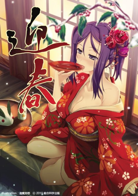 bishoujo-new-year-collection-2011-006