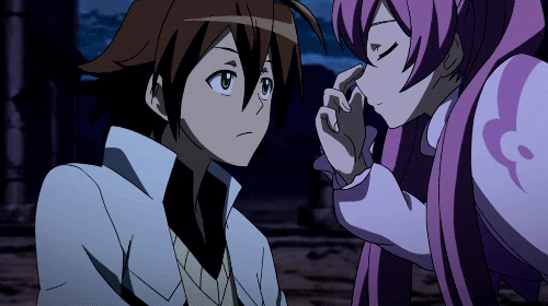 Akame ga Kill: "Will The Torment Ever Cease! 