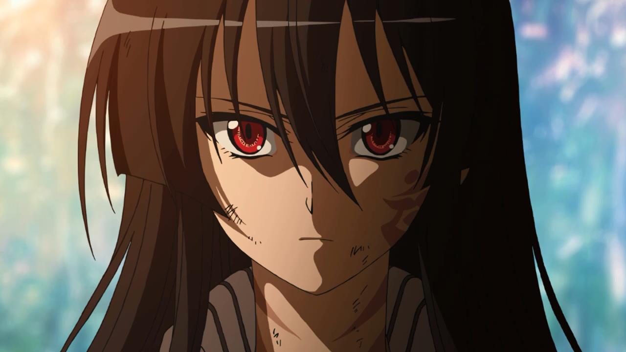 Akame ga Kill Ends: "At Least Not EVERYONE is Dead! 