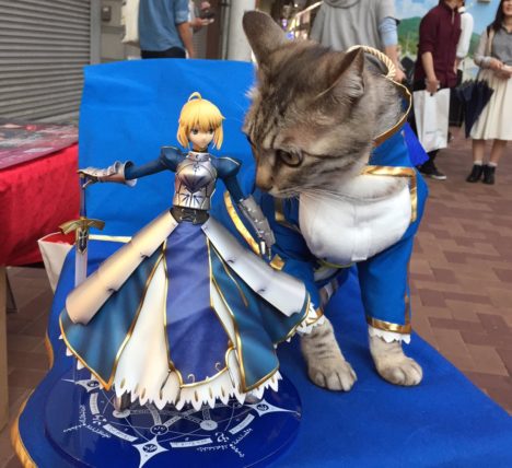 Pussified-Saber-Cosplay-7