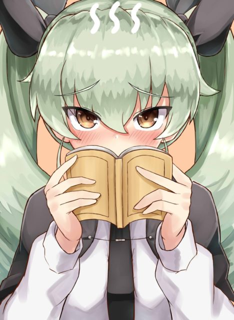 Anchovy-Embarrassed-Book-by-Okitsugu