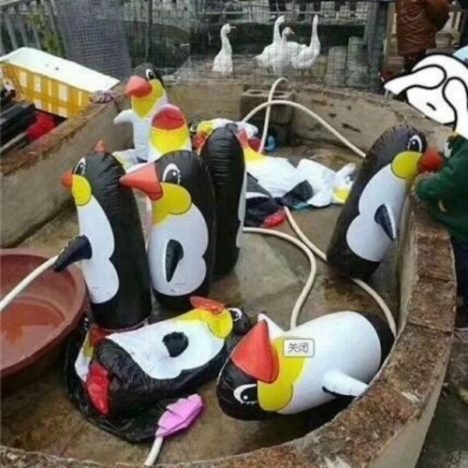 Yulin-Inflatable-Penguin-Zoo-4